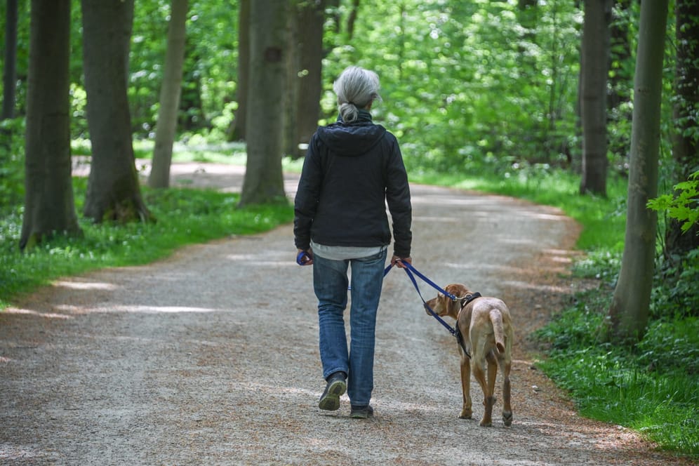 Spaziergang mit Hund (Symbolbild): An einem Tier verging sich der Mann tatsächlich kurzzeitig.