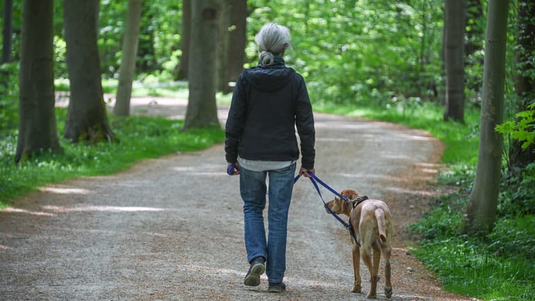 Spaziergang mit Hund (Symbolbild): An einem Tier verging sich der Mann tatsächlich kurzzeitig.