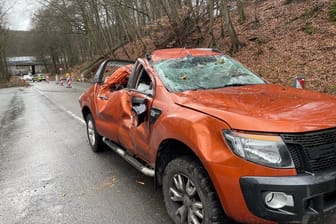 Zwischen Wiesbaden-Naurod und Niedernhausen ist ein Baum auf ein fahrendes Auto gestürzt: Der Fahrer wurde leicht verletzt.