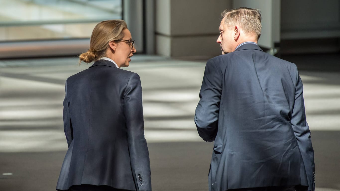 Kay Gottschalk 2018 mit AfD-Chefin Alice Weidel im Bundestag: Auch Weidel ist offen homosexuell.