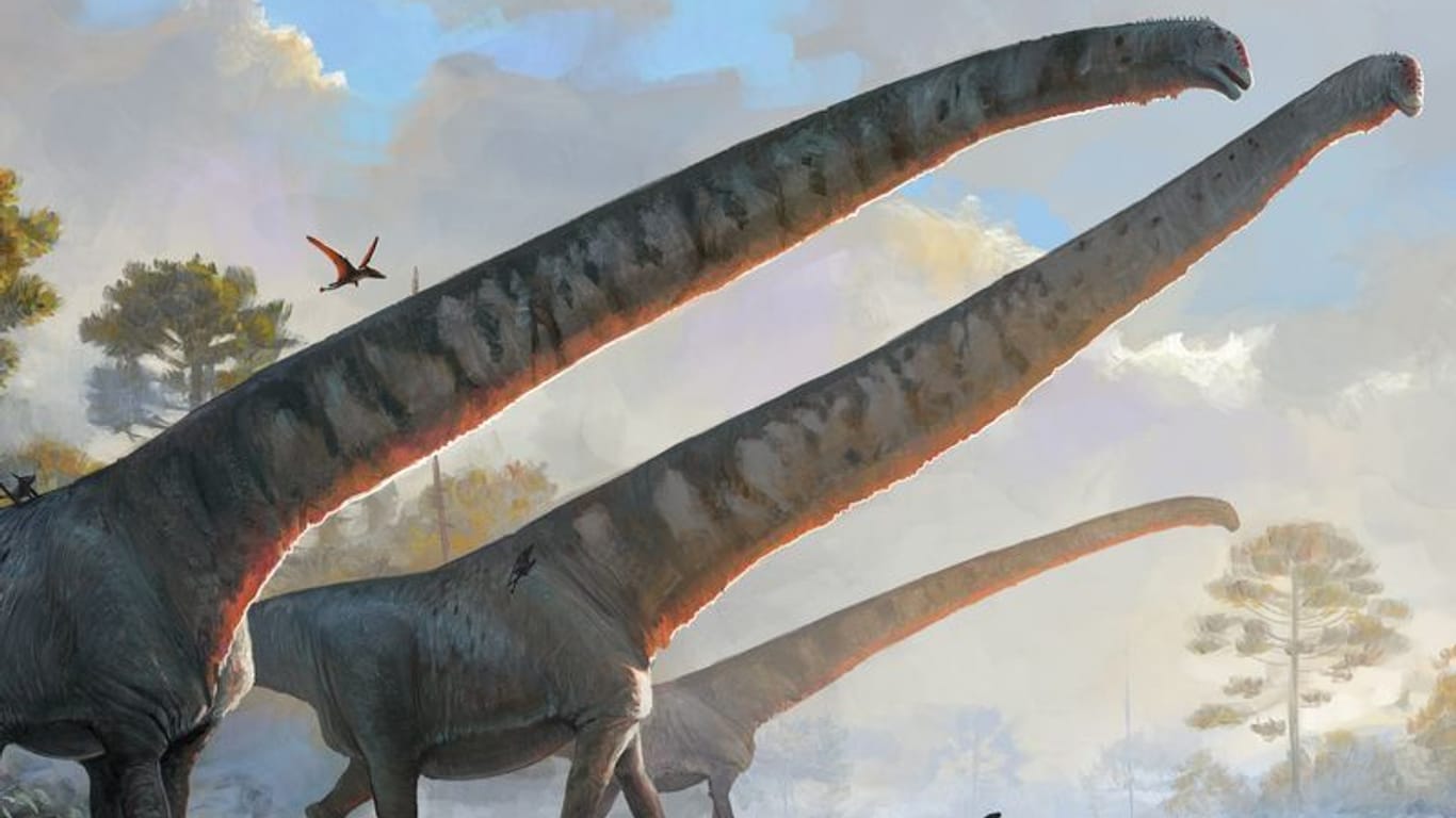 Illustration des Natural History Museums zeigt «Mamenchisaurus sinocanadorums»: Forscherinnen und Forscher haben einen besonderen Fund gemacht.