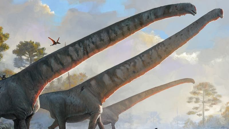 Illustration des Natural History Museums zeigt «Mamenchisaurus sinocanadorums»: Forscherinnen und Forscher haben einen besonderen Fund gemacht.