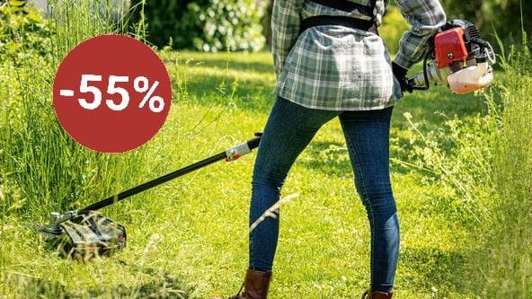 Aldi verkauft ein 5-in-1-Gartenpflegeset von Scheppach zum halben Preis.