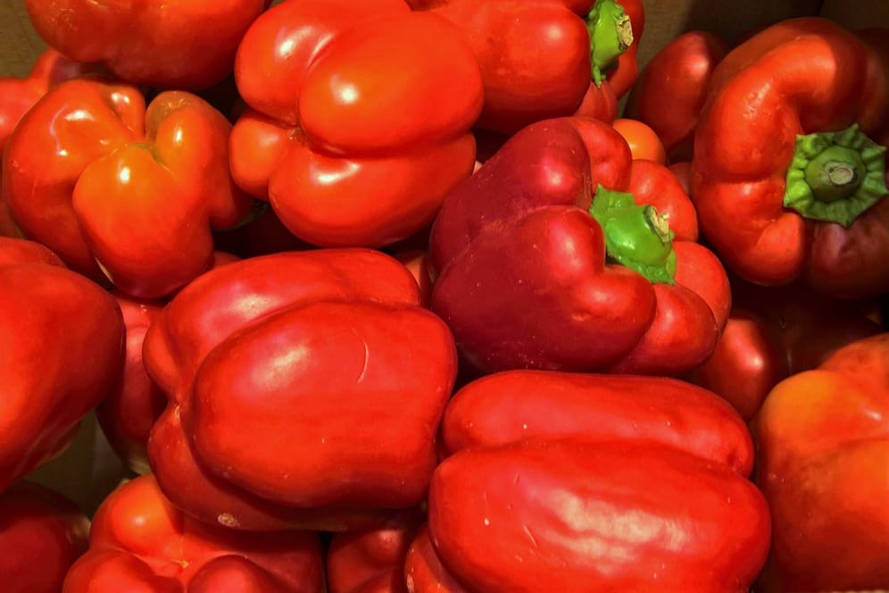 Paprika im Supermarkt: Das beliebte Gemüse hat gerade in der letzten Zeit einige Preissprünge hinter sich.