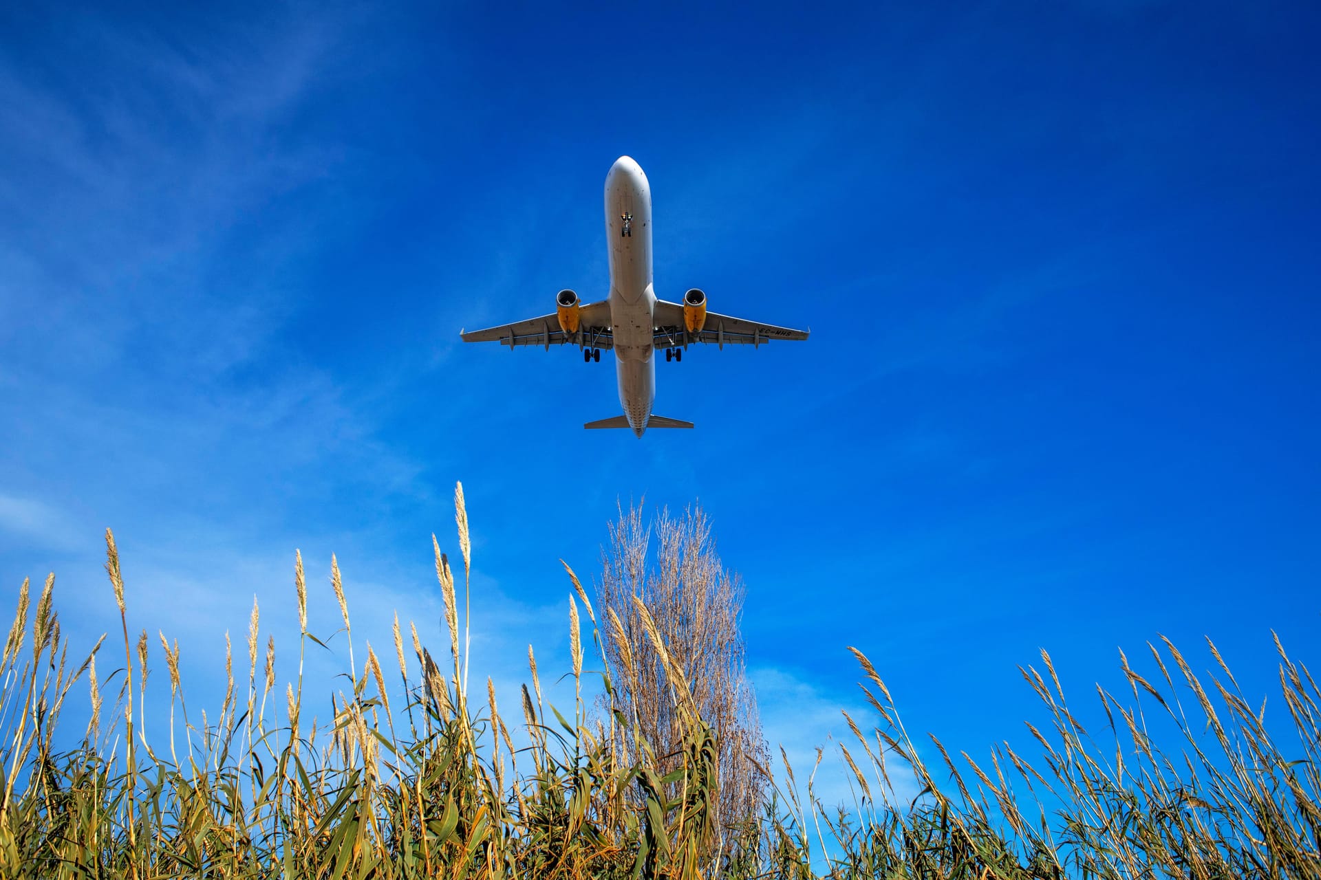 Abflug: Nach den Pandemiejahren wollen viele Deutsche wieder in den Urlaub fliegen.