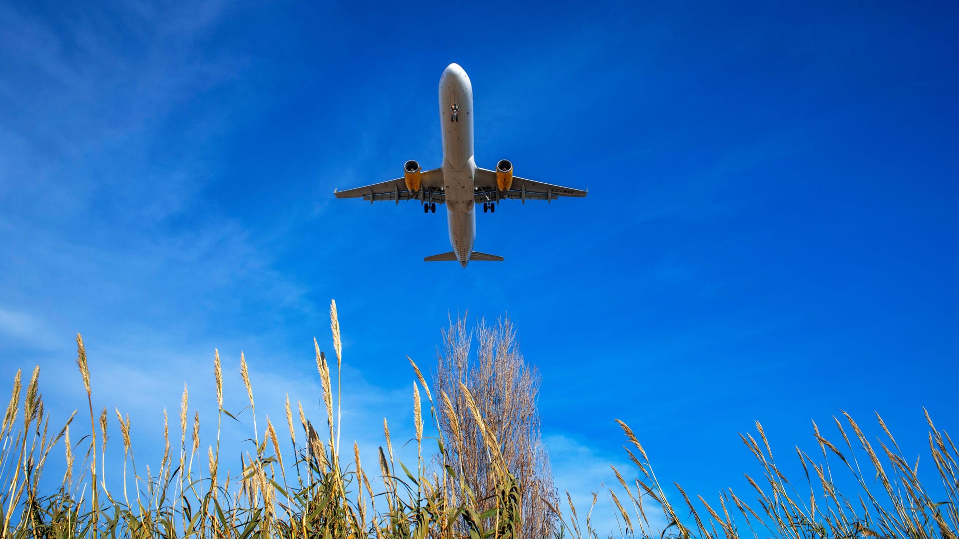 Abflug: Nach den Pandemiejahren wollen viele Deutsche wieder in den Urlaub fliegen.