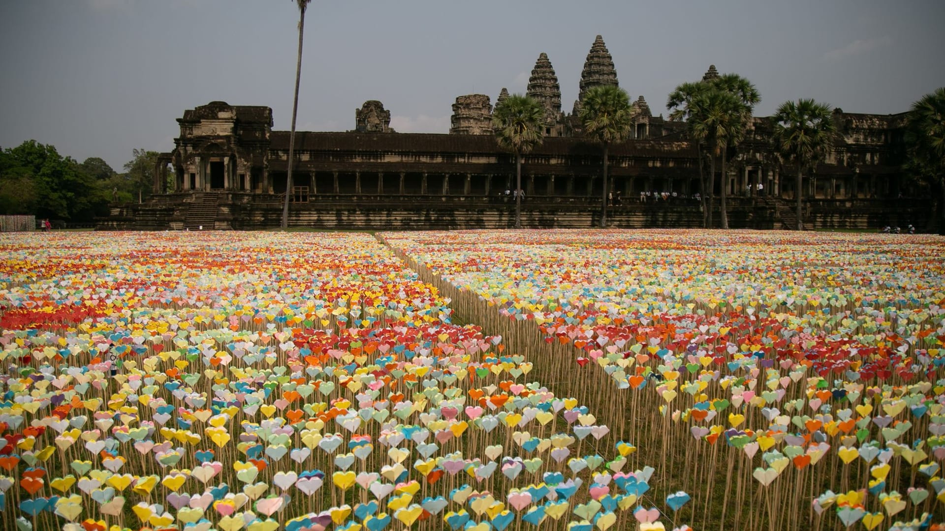 Origami-Herzen werden im Komplex des archäologischen Parks von Angkor in der ausgestellt. Origami-Herzen werden im Komplex des archäologischen Parks von Angkor in der ausgestellt.