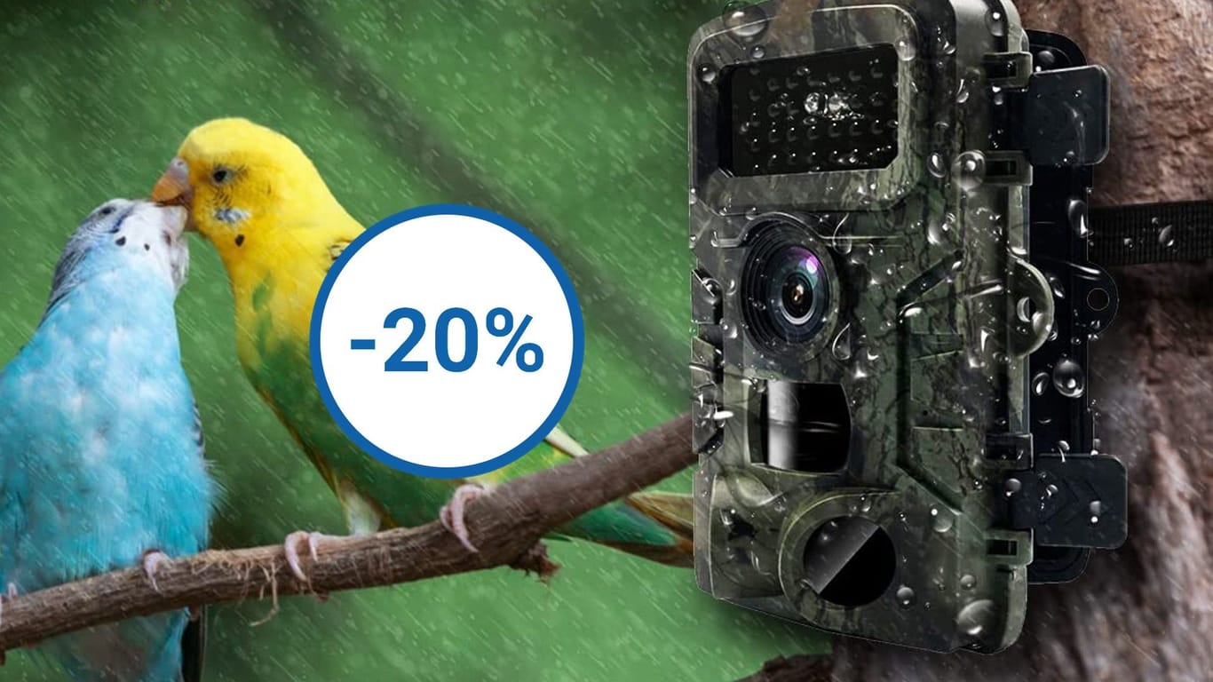 Bei Amazon ist eine wetterfeste Wildkamera mit Nachtsicht und Bewegungsmelder im Angebot.