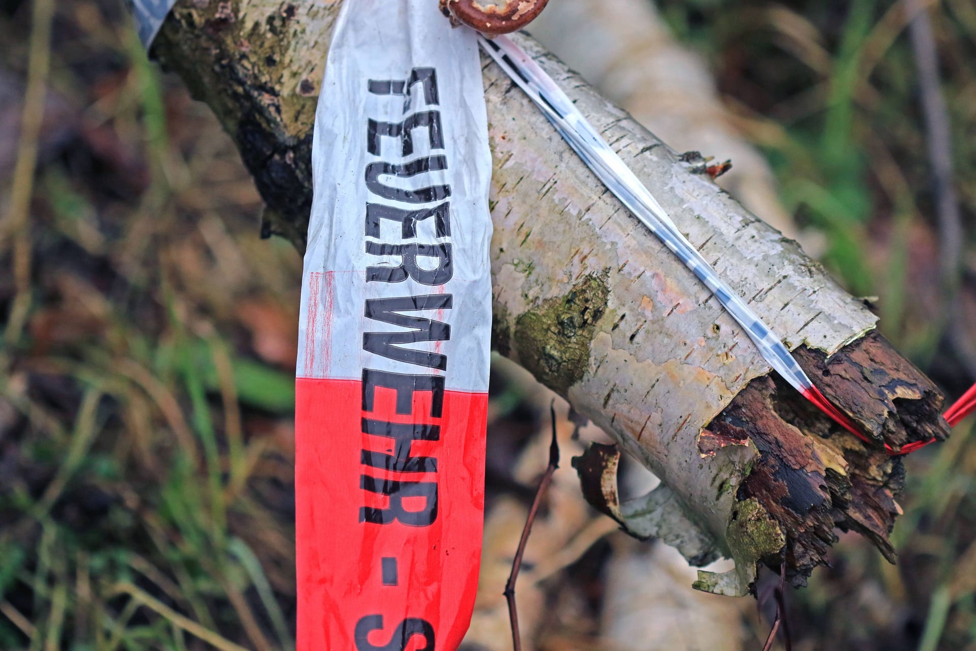 Feuerwehrabsperrung an einem umgestürzten Baum (Symbolbild): Die Einsatzkräfte ließen den Mann nicht durch den Gefahrenbereich.