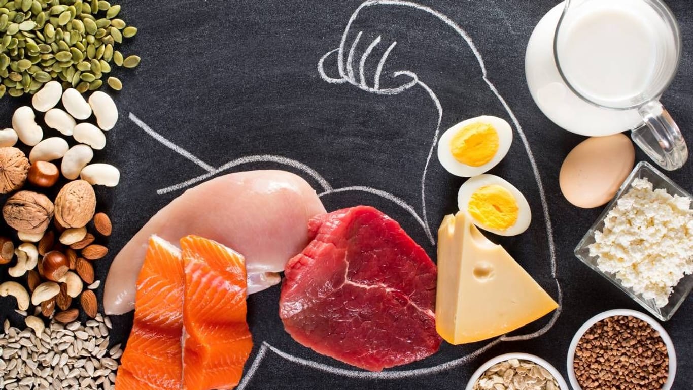 Proteinreiche Ernährung: Viele tierische und pflanzliche Lebensmittel enthalten den wichtigen Nährstoff.