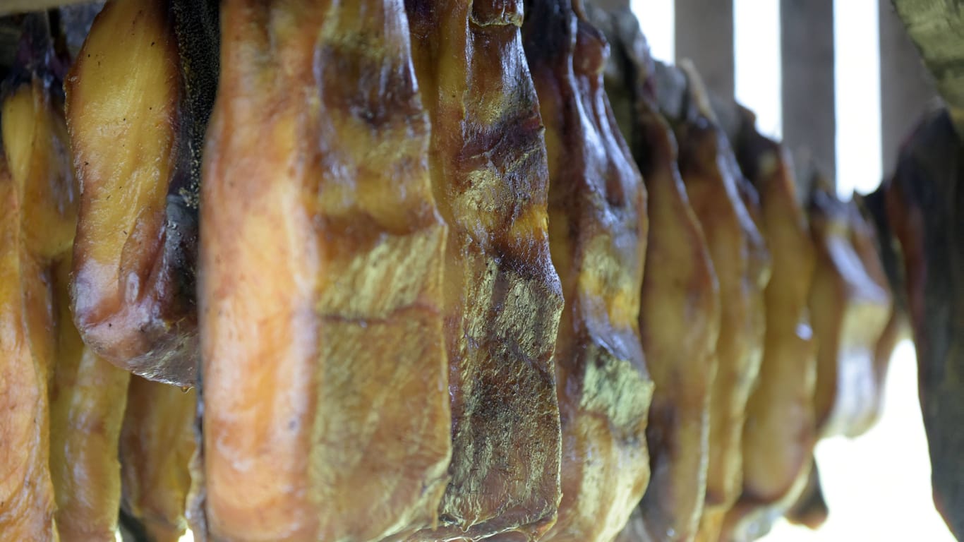 Herstellung der isländischen Spezialität Hakarl: Das Fleisch vom Grönlandhai (Eishai) ist die unbeliebteste Speise Europas.