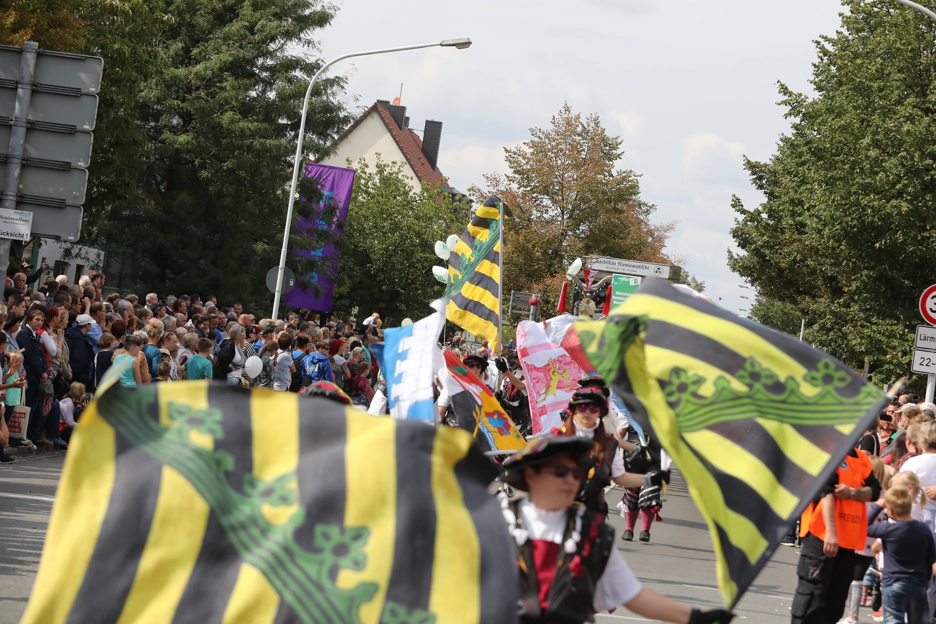 Der Verein der Sächsischen Fahnenschwinger beim Festumzug 2019 in Riesa.