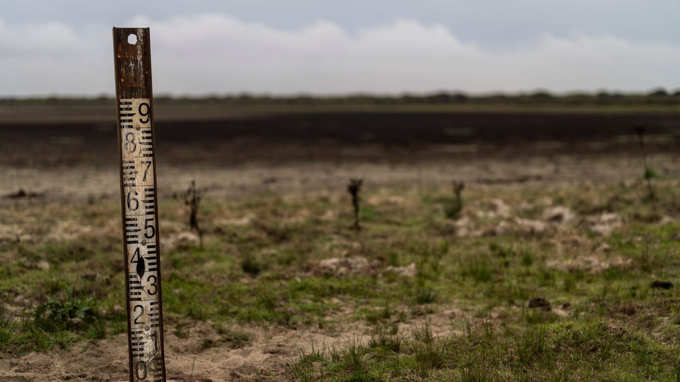 Ein Wasserstandsanzeiger steht in einem ausgetrockneten Feuchtgebiet im Naturpark Doñana. Die Region Andalusien will den wasserintensiven Erdbeeranbau ausweiten.