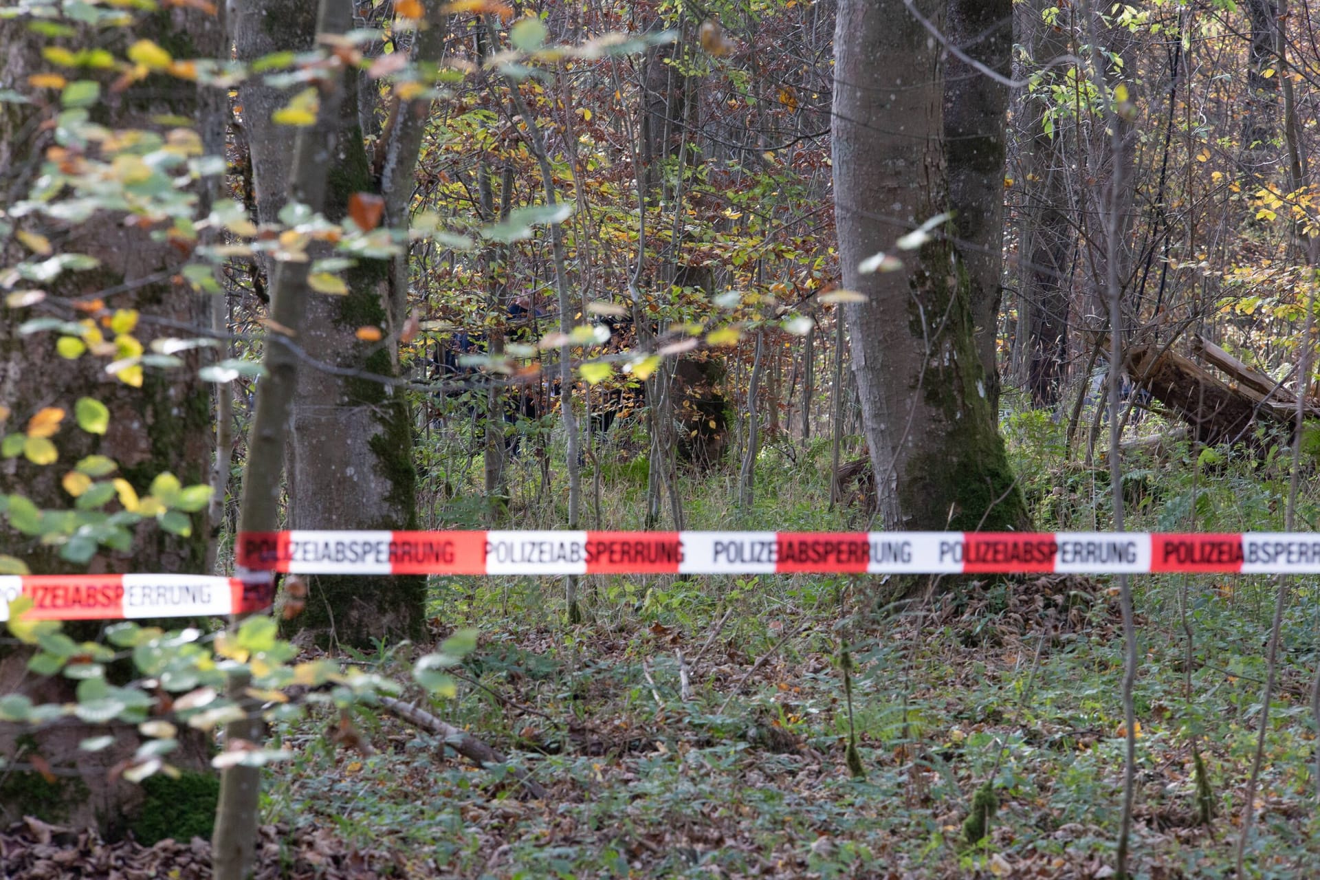 Eine Polizeiabsperrung im Wald (Archivbild): Bei Bernau ist eine tote Person gefunden worden.