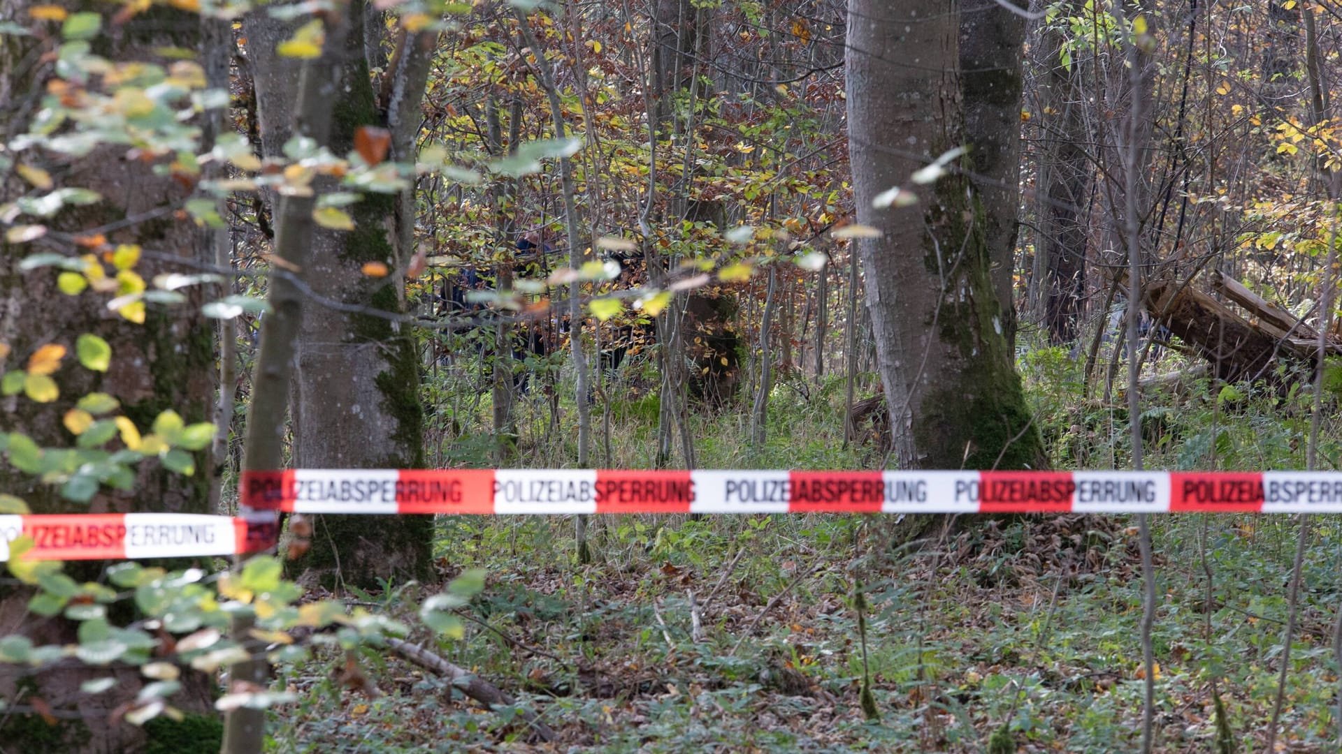 Eine Polizeiabsperrung im Wald (Archivbild): Bei Bernau ist eine tote Person gefunden worden.