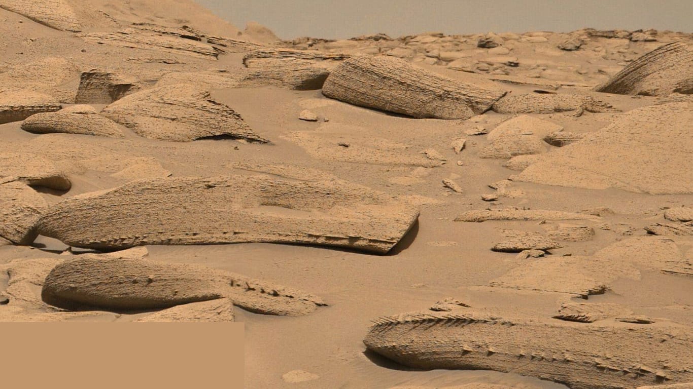 Drachenknochen oder Fischgräten? Diese seltsamen Formationen hat der Rover "Curiosity" auf dem Mars entdeckt.