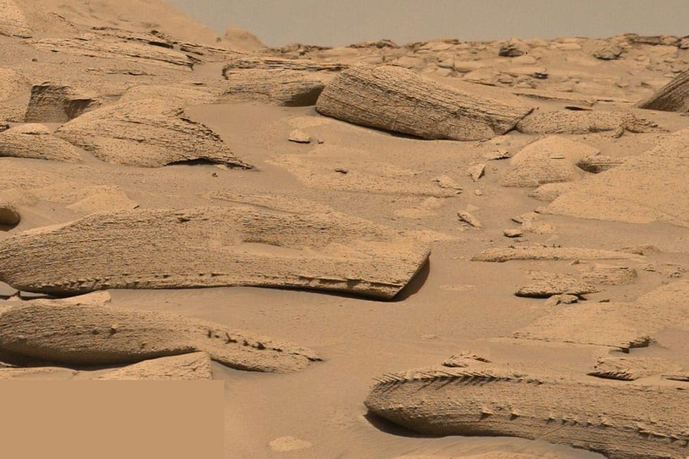 Drachenknochen oder Fischgräten? Diese seltsamen Formationen hat der Rover "Curiosity" auf dem Mars entdeckt.