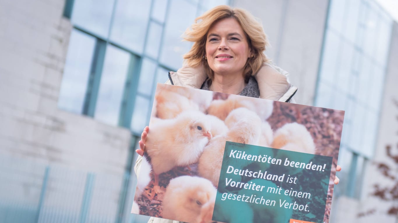 Julia Klöckner (Archivbild): Die damalige Landwirtschaftsministerin führte zum 1. Januar 2022 das Verbot ein.