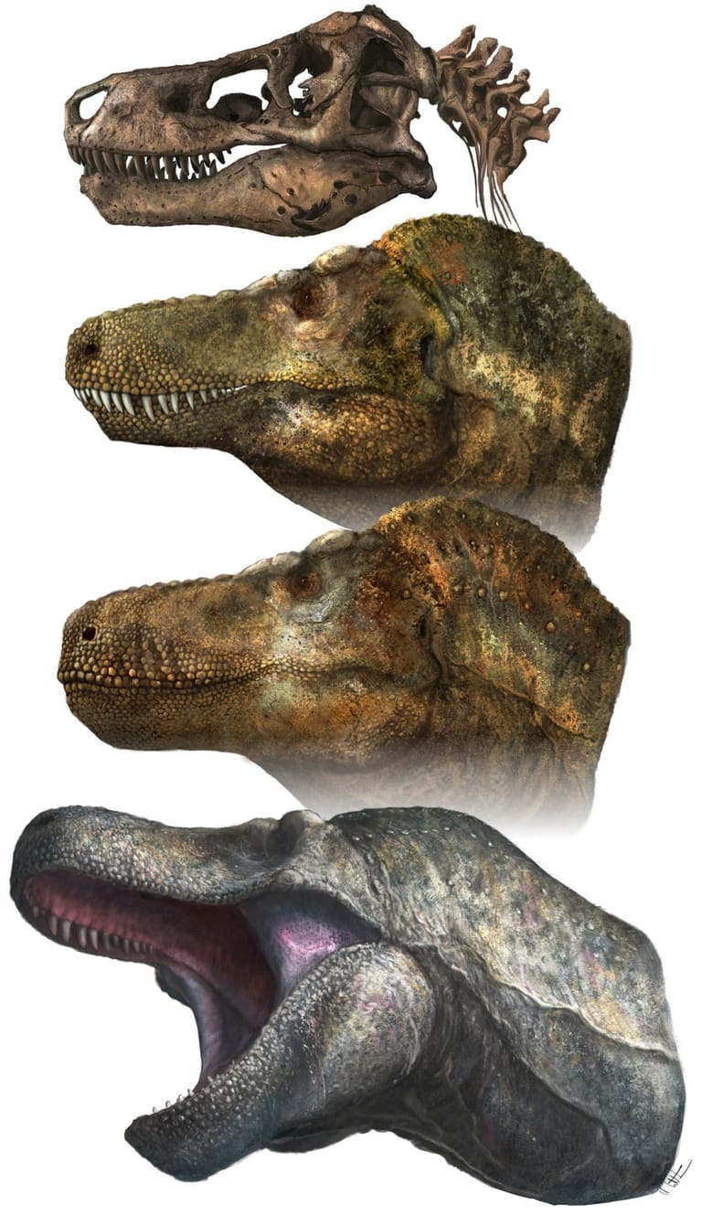 Dinosaur Lips