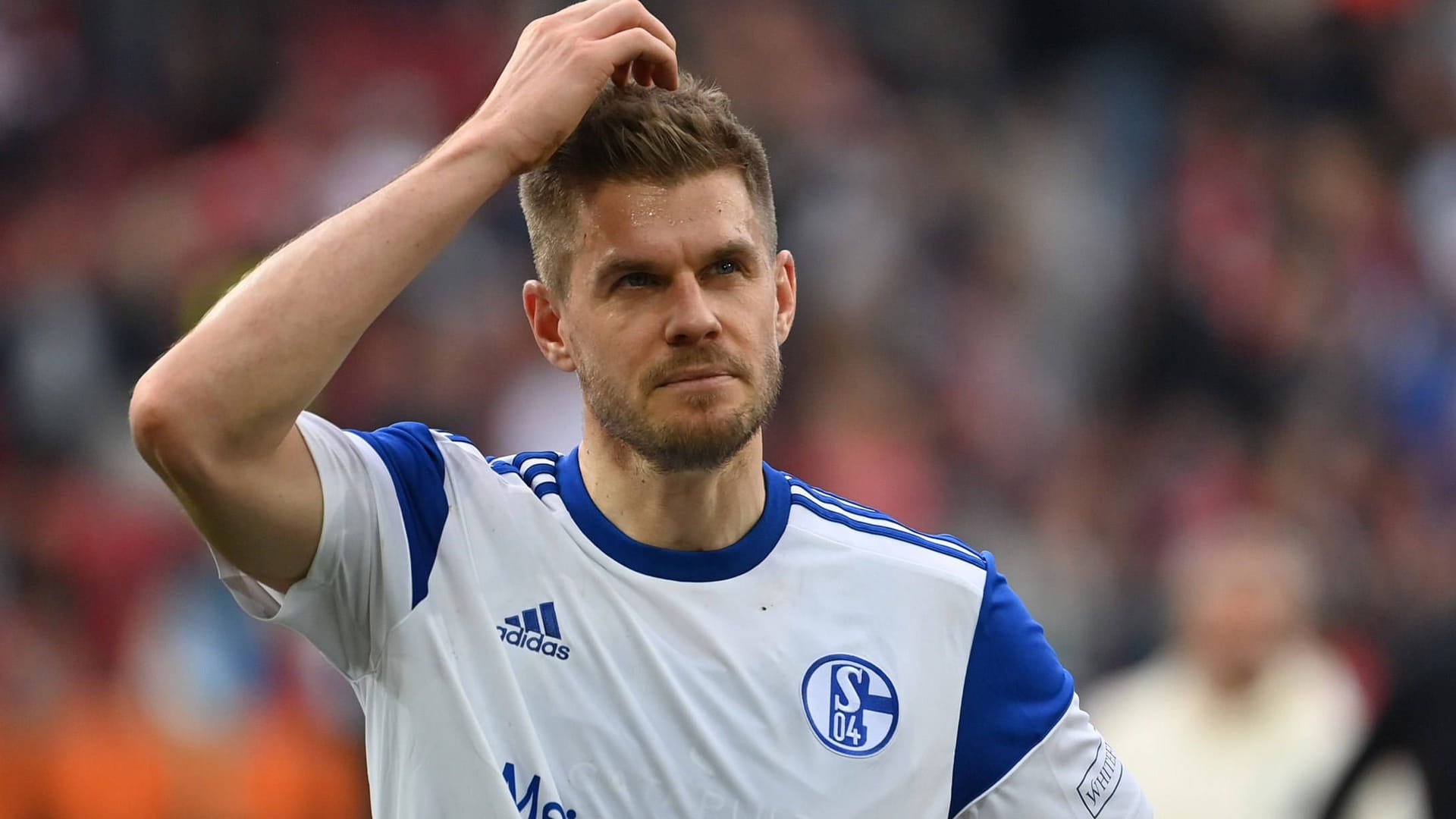 Simon Terodde: Die Zukunft des Schalke-Stürmers ist geklärt. Simon Terodde: Die Zukunft des Schalke-Stürmers ist geklärt.