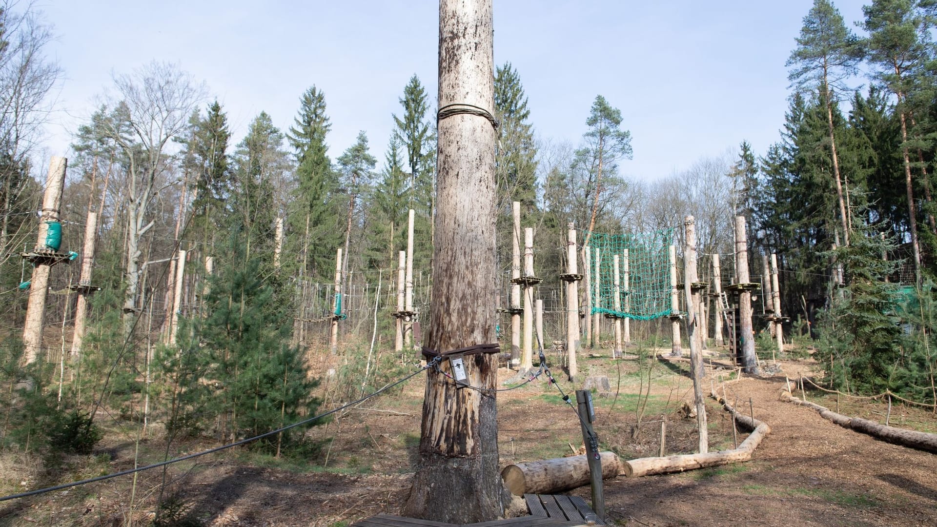 Kletterwald in der Dresdner Heide