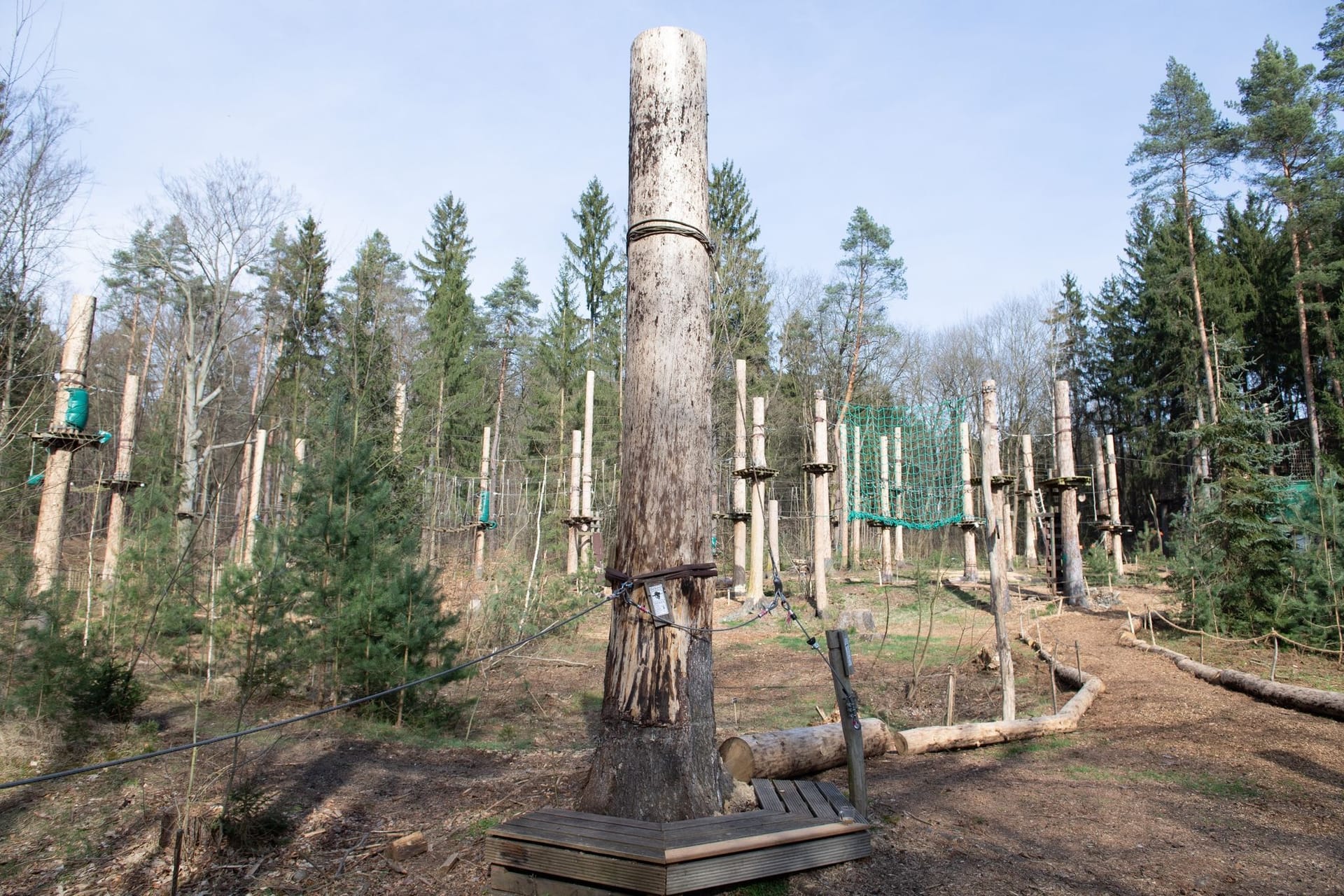 Kletterwald in der Dresdner Heide