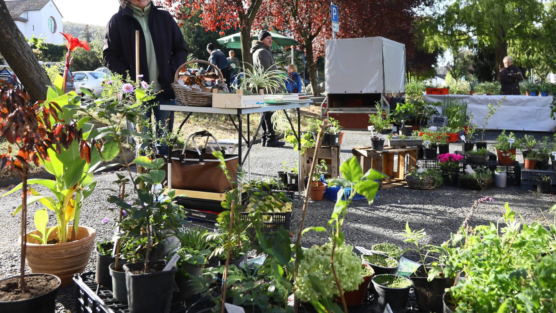 Ein Pflanzenflohmarkt (Symbolfoto): Der Flohmarkt in der Neustadt legt seinen Schwerpunkt aufs Grüne.