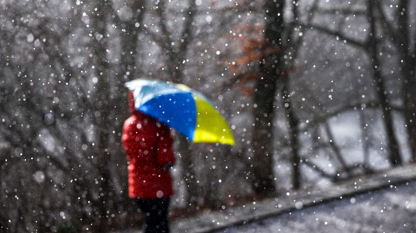 Eine Spaziergängerin geht mit einem Regenschirm spazieren (Symbolbild): Regen und Wind stehen in Niedersachsen an.