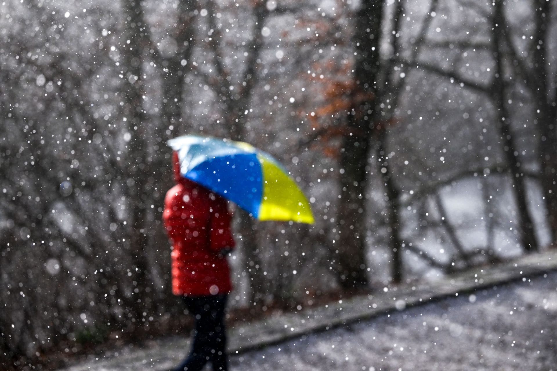 Eine Spaziergängerin geht mit einem Regenschirm spazieren (Symbolbild): Regen und Wind stehen in Niedersachsen an.