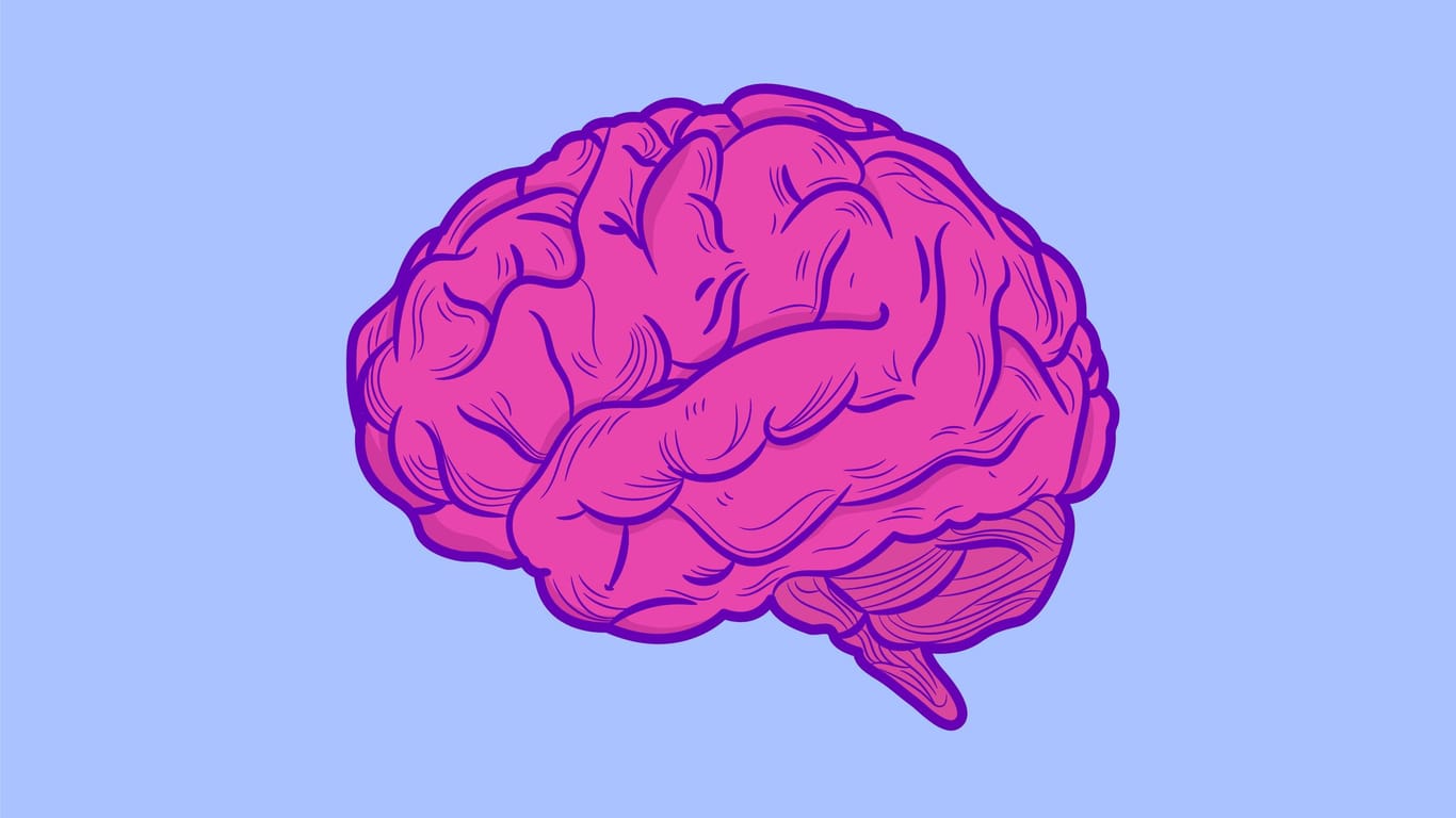 Illustration eines pinken Gehirns auf einem blassblauen Hintergrund.