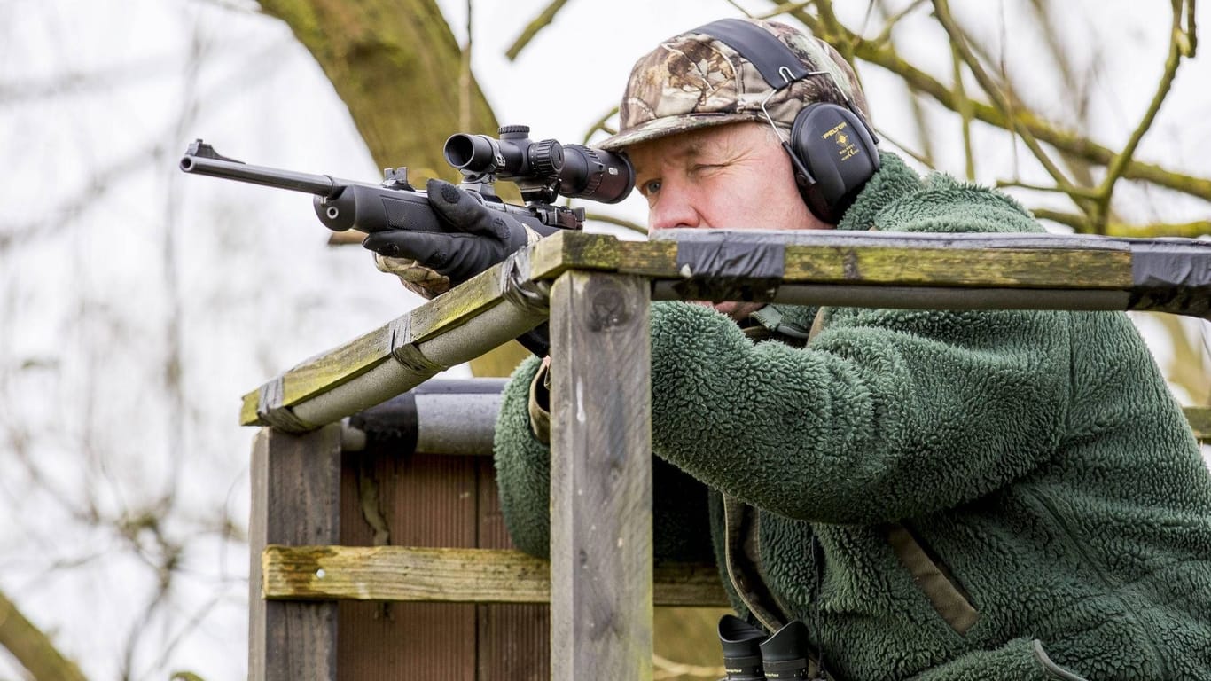 Ein Jäger sitzt mit einem Gewehr auf einem Hochsitz (Symbolbild): Ob Wölfe und Bären geschossen werden oder sich ungehindert ausbreiten sollen, ist umstritten.