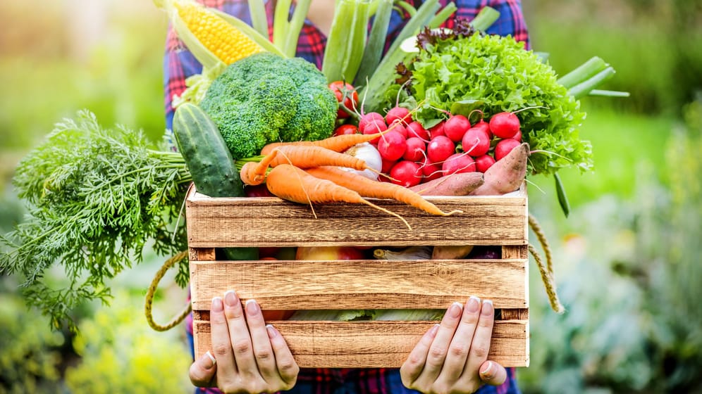 Von einer vitaminreichen Ernährung mit viel Obst und Gemüse profitieren auch die Fingernägel. Sie brauchen die Nährstoffe, um fest zu bleiben.