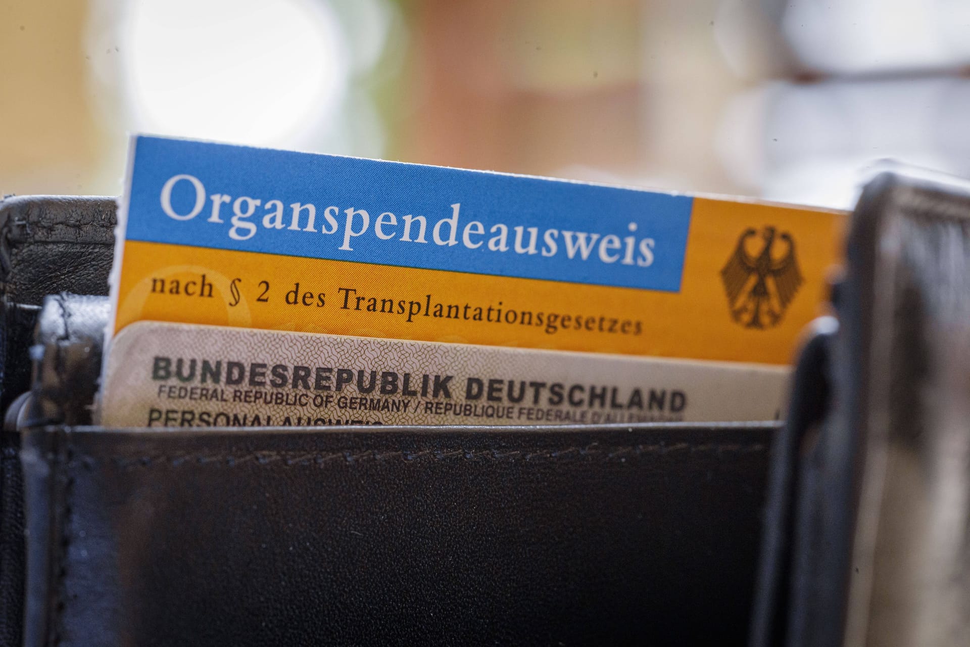 Immer dabei: Der Organspendeausweis soll die Spende von Organen nach dem Tod klären.