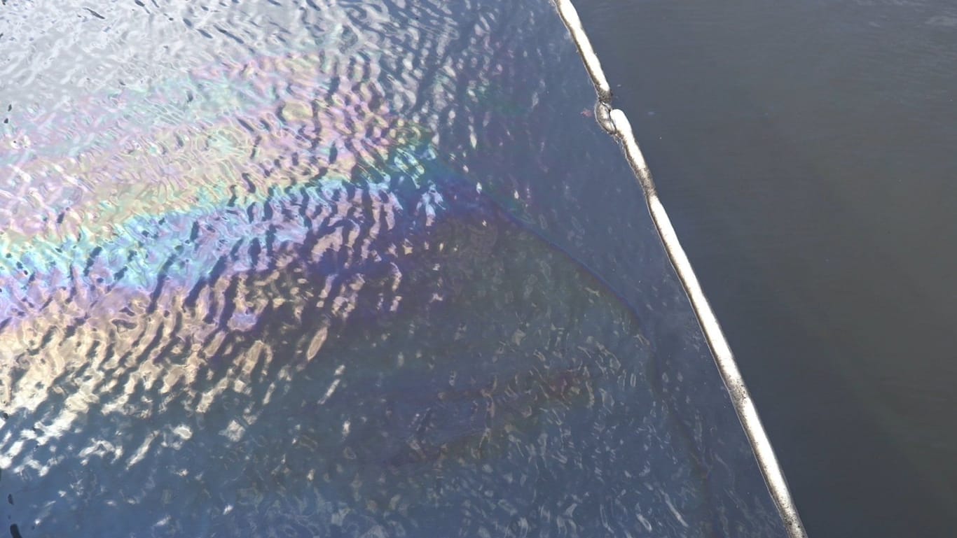 Ölfilm auf dem Billekanal in Hamburg: Die Verschmutzung bedroht die Enten auf dem Wasser.