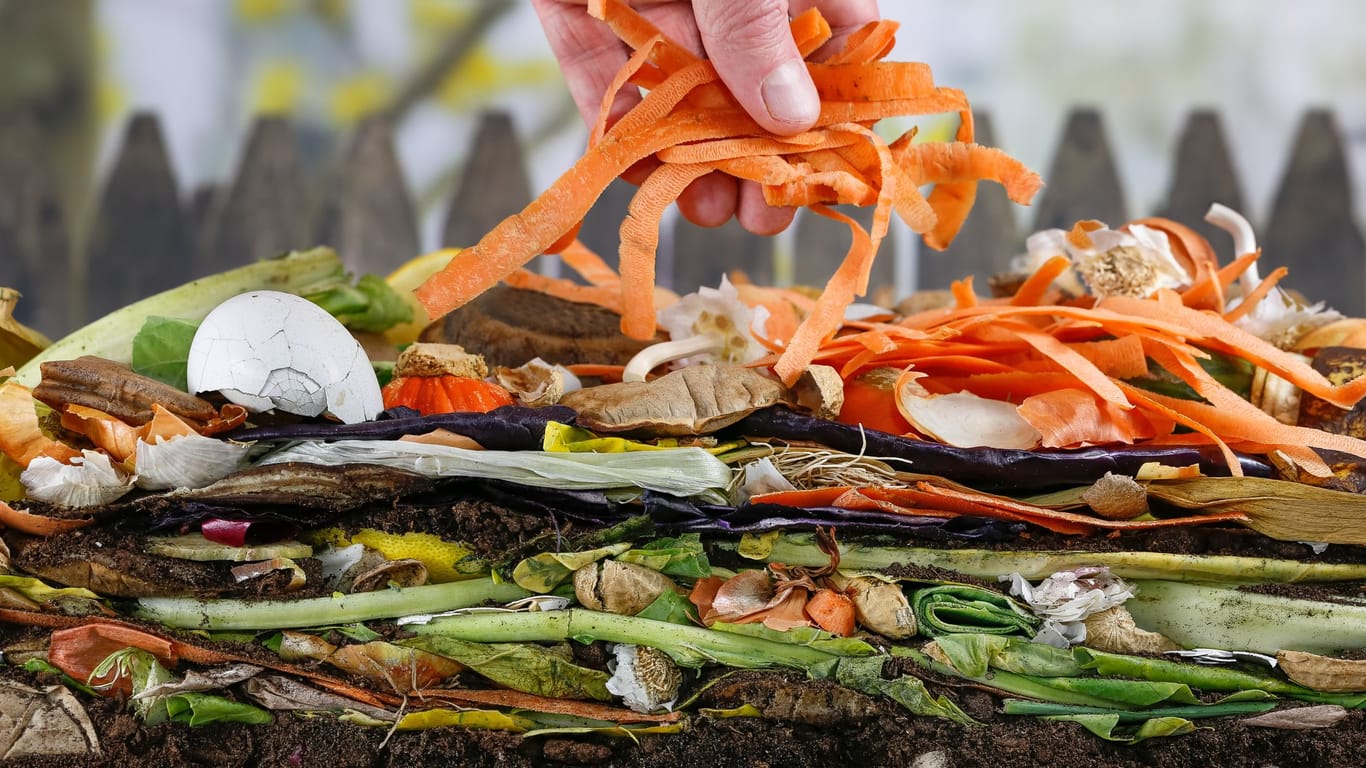 Sie können Ihren Bioabfall als ganzes oder am besten zerkleinert auf den Kompost geben.