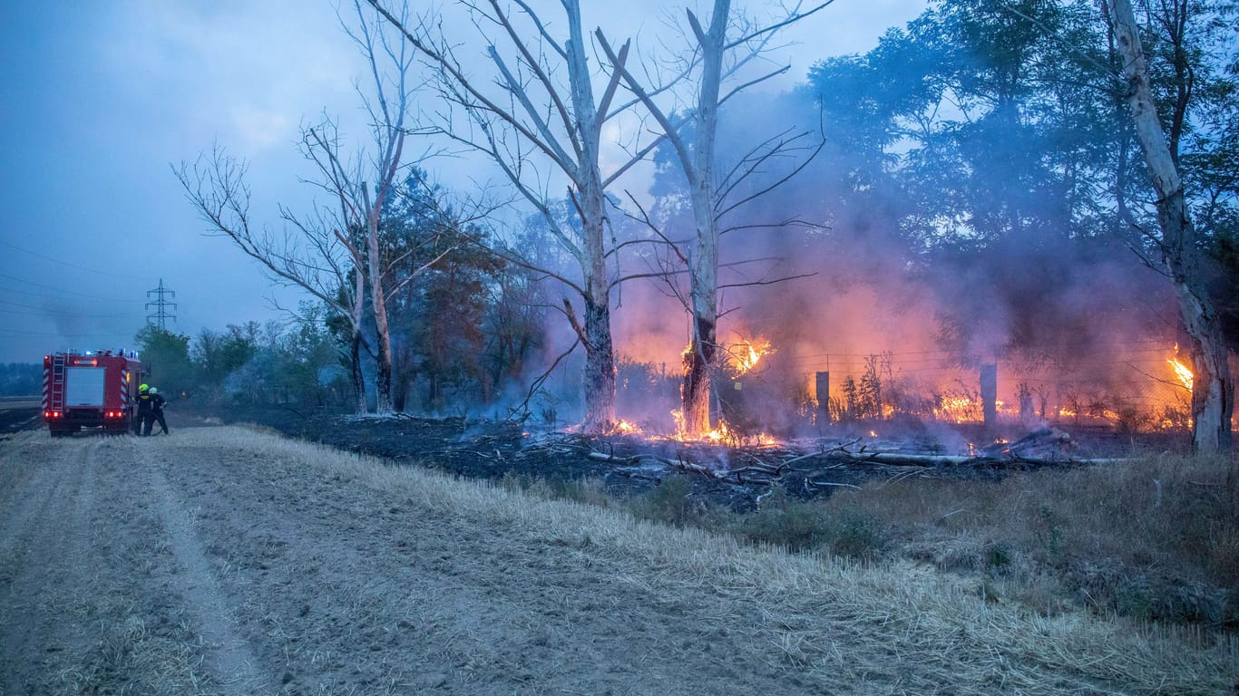 Waldbrand in Brandenburg (Symbolbild): In Berlin hat sich ein Klimacamp gebildet.