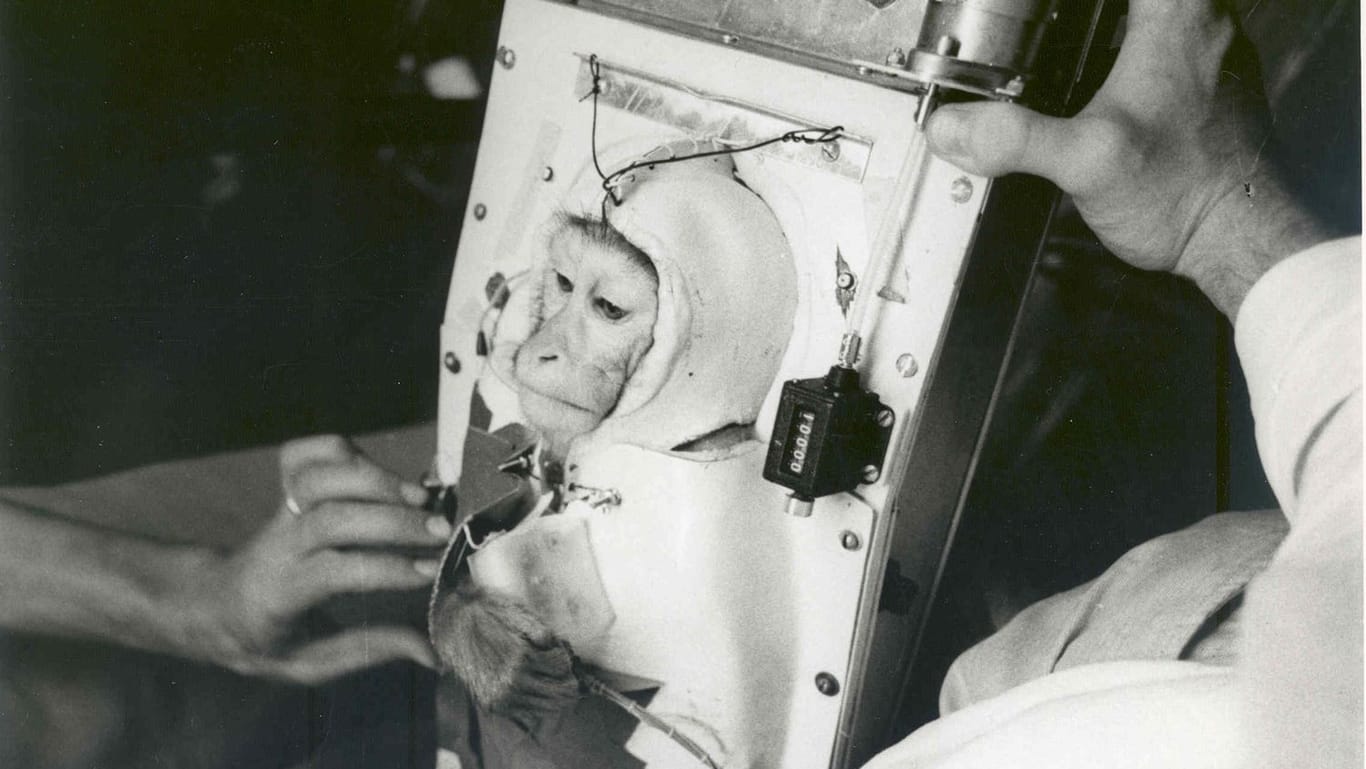 1959: Als die USA zwei Affen ins All schossen