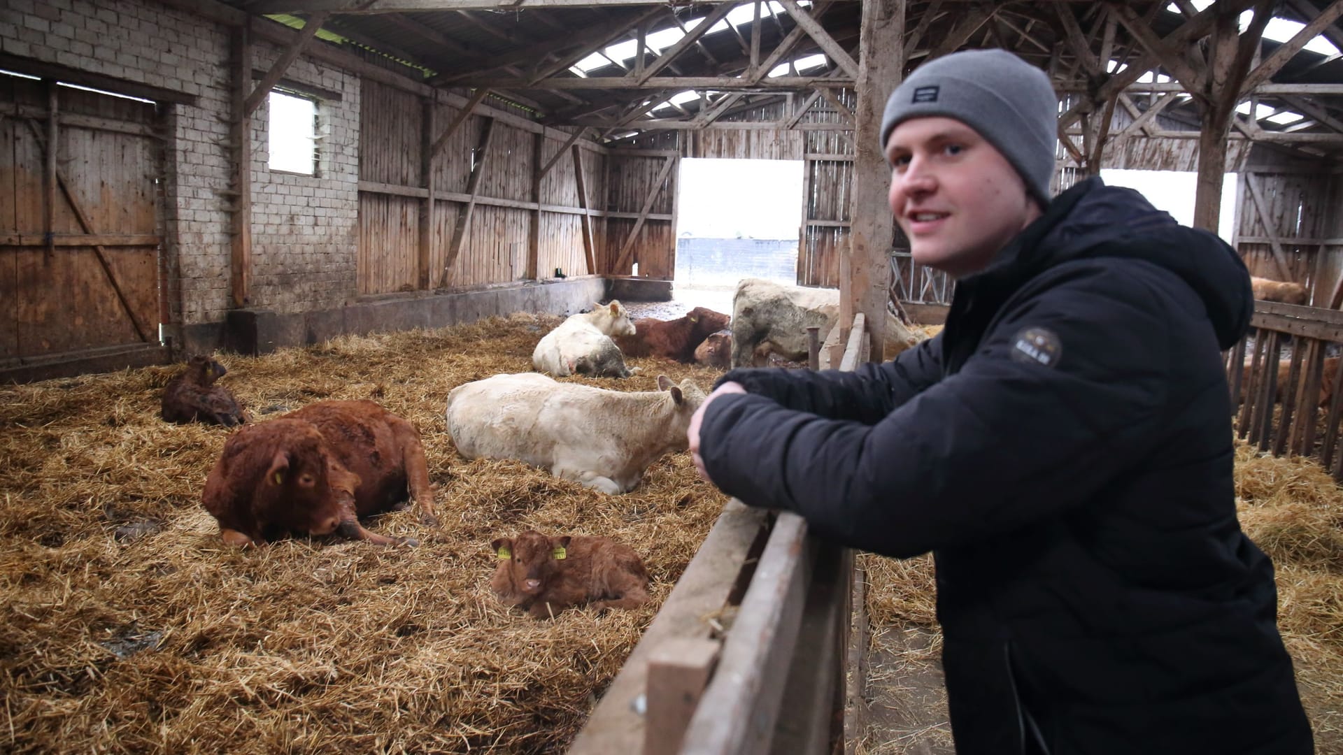 Landwirt Ties Winkelmann im Stall: Er soll den Hof übernehmen – eigentlich.