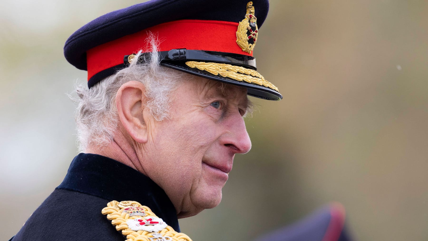 British king. King of britain 2022. британская королева сирогойно. монарх великобритании. Charles al iii-lea.