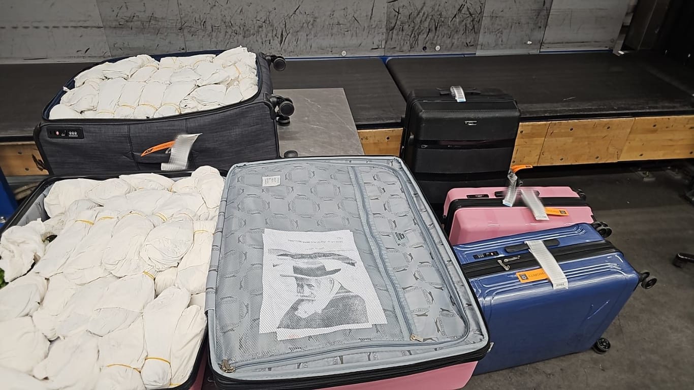 Koffer voll mit Khat: Der Zoll beschlagnahmte den Inhalt, der unter das Betäubungsmittelgesetz fällt.