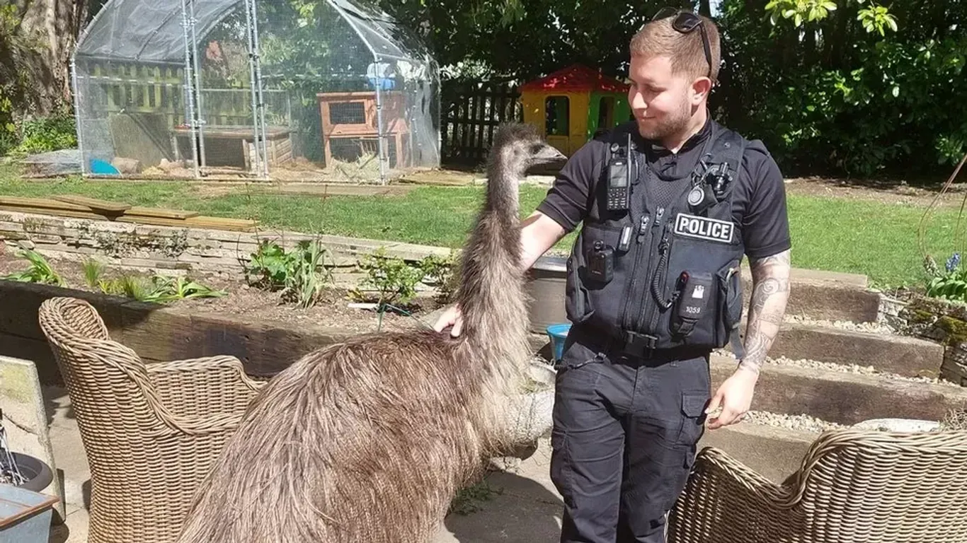 Die Polizei schaute schließlich beim geretteten Vogel vorbei: "Rodney" ist wieder zu Hause.