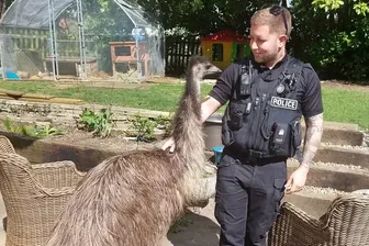 Die Polizei schaute schließlich beim geretteten Vogel vorbei: "Rodney" ist wieder zu Hause.