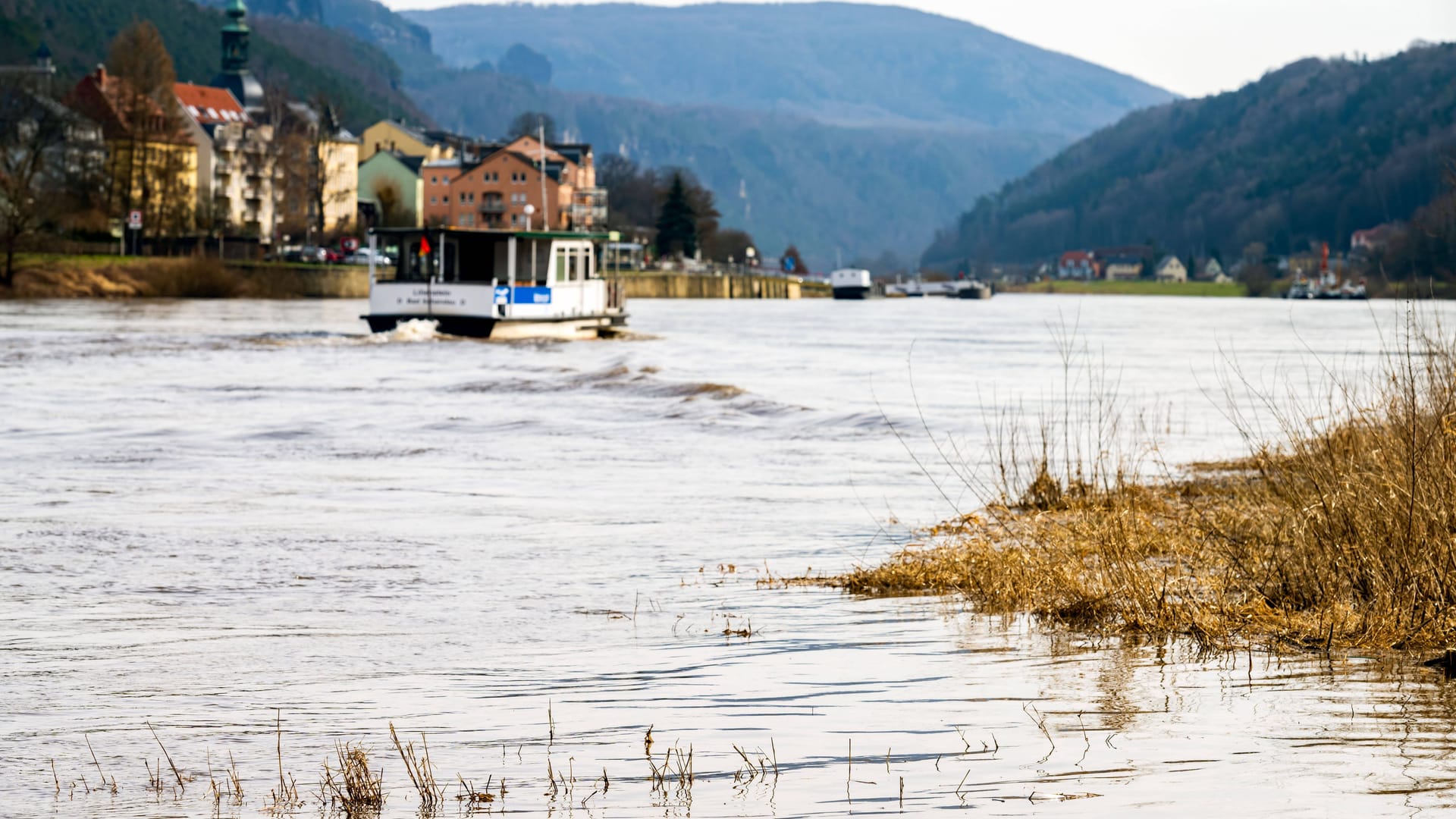 Blick auf die Elbe bei Bad Schandau (Archivfoto): Der Richtwert für die Alarmstufe 1 wird in Dresden wahrscheinlich am Montag erwartet.