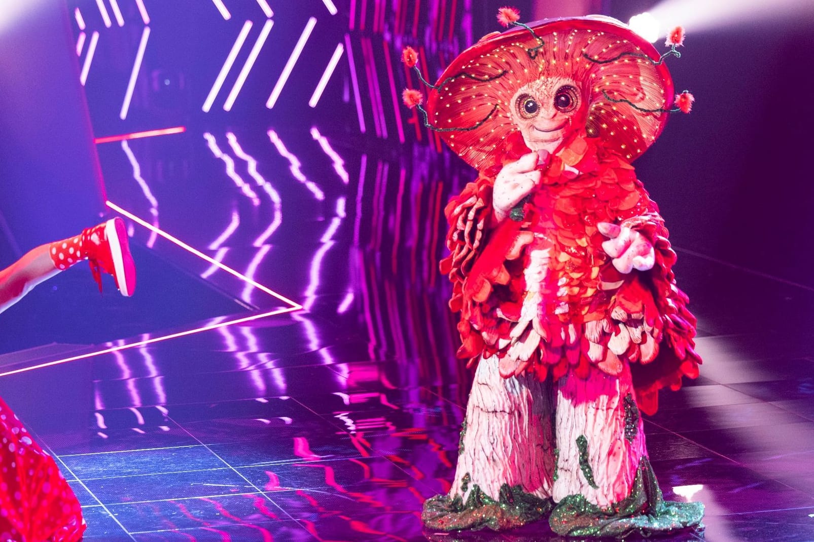 "The Masked Singer" - Musikshow - ProSieben