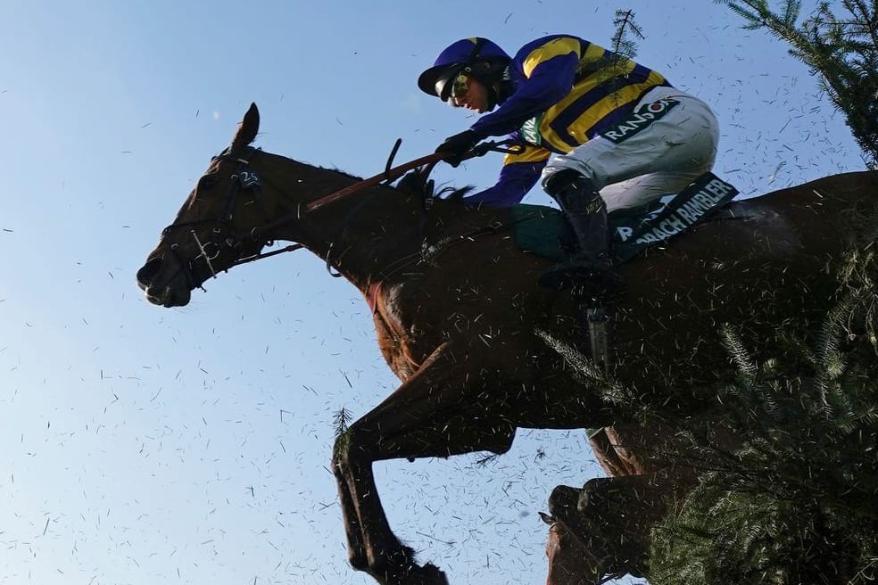 Reiter beim Grand National: Bei dem gefährlichen Rennen kamen erneut mehrere Pferde ums Leben.