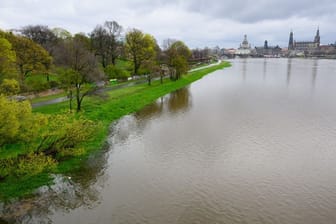 Die Elbwiesen sind nahe dem Elberadweg vom Hochwasser der Elbe überflutet, im Hintergrund ist die Altstadt mit der Frauenkirche (l-r), dem Ständehaus, der Hofkirche, dem Hausmannsturm, dem dem Residenzschloss und der Semperoper zu sehen. Der Pegel der Elbe in Dresden beträgt momentan 4,11 Meter.