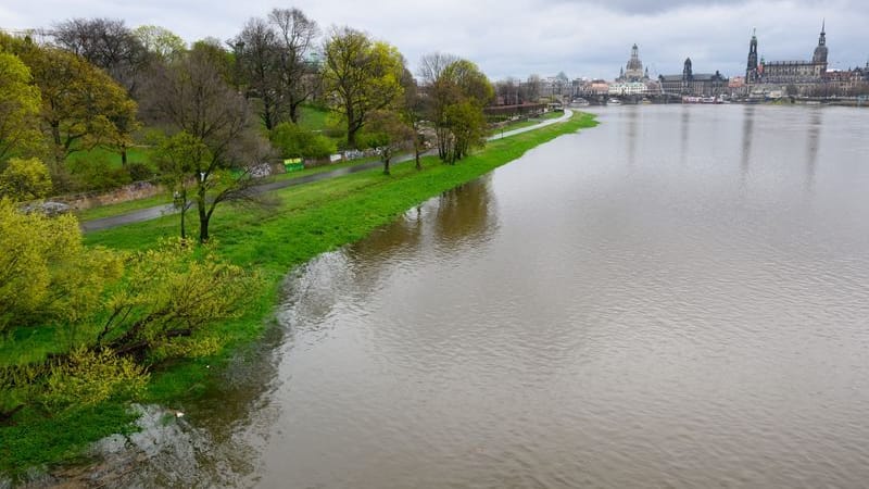 Die Elbwiesen sind nahe dem Elberadweg vom Hochwasser der Elbe überflutet, im Hintergrund ist die Altstadt mit der Frauenkirche (l-r), dem Ständehaus, der Hofkirche, dem Hausmannsturm, dem dem Residenzschloss und der Semperoper zu sehen. Der Pegel der Elbe in Dresden beträgt momentan 4,11 Meter.