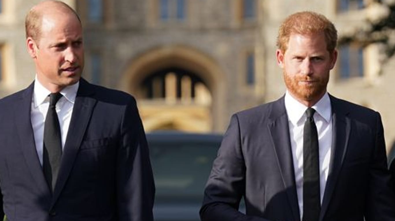Prinz William und Prinz Harry: Die Brüder trauern im Netz.