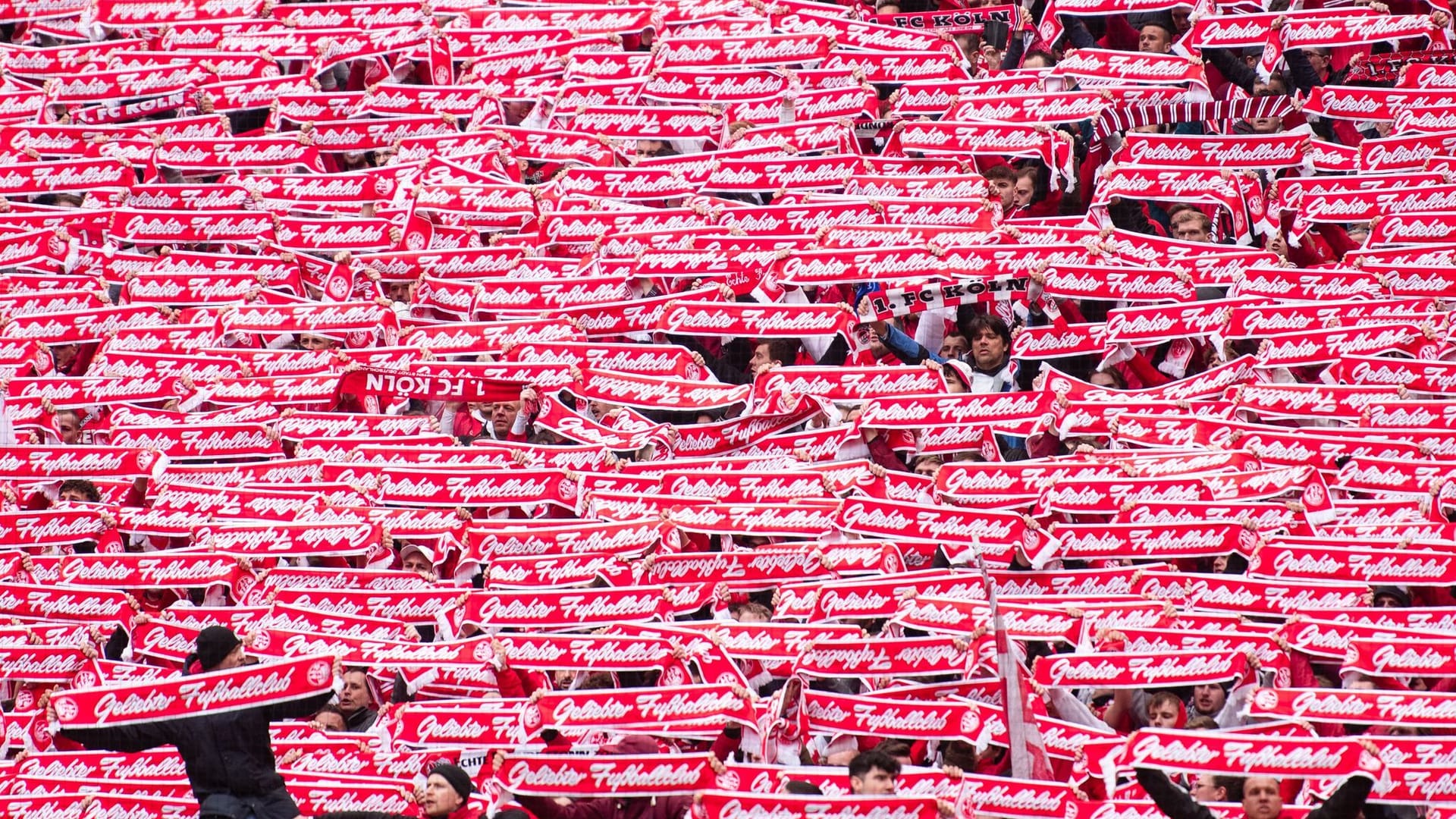 FC-Fans