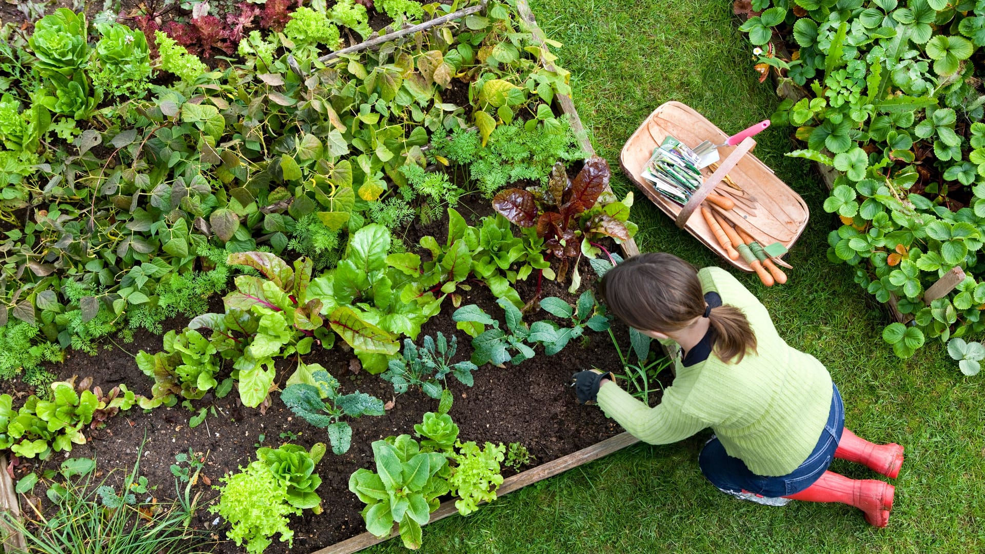 Eine Frau arbeitet an ihrem Gemüsebeet: Wer Permaveggies pflanzt, spart sich einiges an Arbeit.